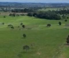 Fazenda a Venda em Mato Grosso Área 90 Alqueires Pecuária De Cria Recria E Engorda Dupla Aptidão Podendo Plantar Lavoura 